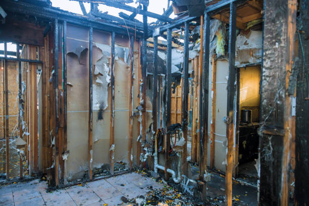 Professional Odor Removal technician working in Akron, OH
